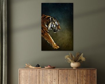 Tiger von AD DESIGN Photo & PhotoArt
