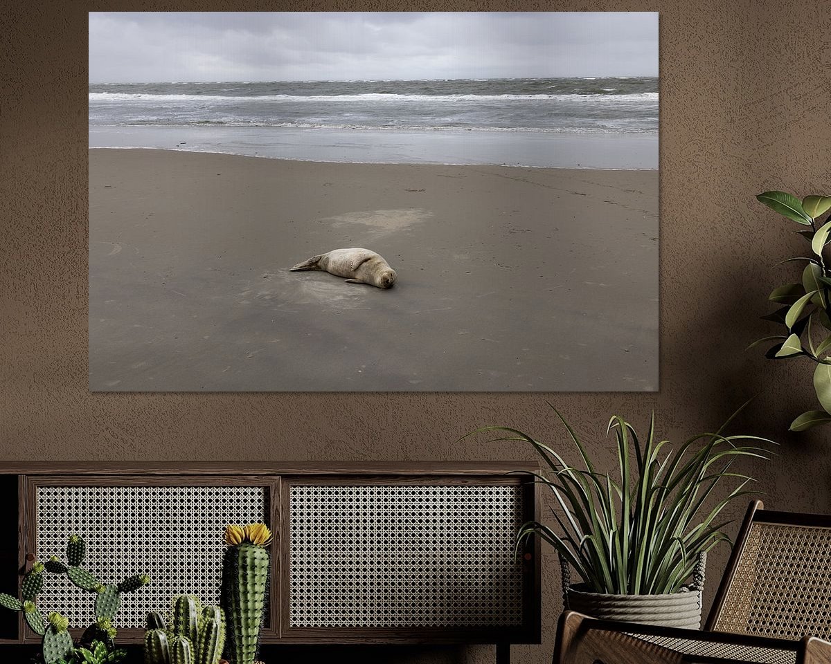 Raumvorschau