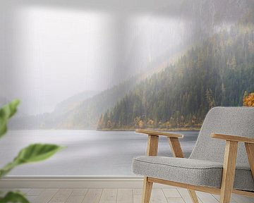 A Mountain Lake in the Mist by Coen Weesjes