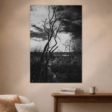 Frise orientale - La lande éternelle - noir et blanc sur Naturfotograf in Ostfriesland