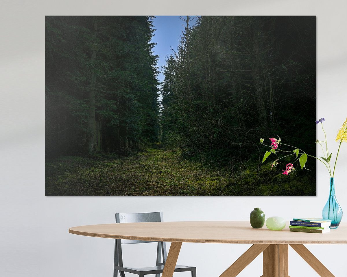 Raumvorschau