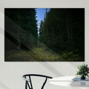 Ein schmaler Pfad von Harald Bader Photography
