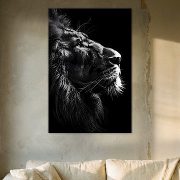 Majesty en noir et blanc sur Dave Schloffi