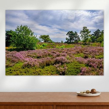 Een heidelandschap op een prachtige zomerdag van Sjoerd van der Wal Fotografie