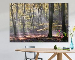 Raumvorschau