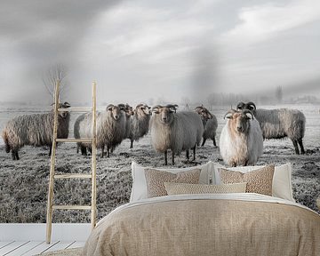 Sheep in the Strijen polder in the Hoeksche Waard (seen at vtwonen) by MS Fotografie | Marc van der Stelt