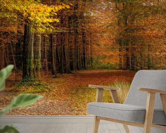 Raumvorschau