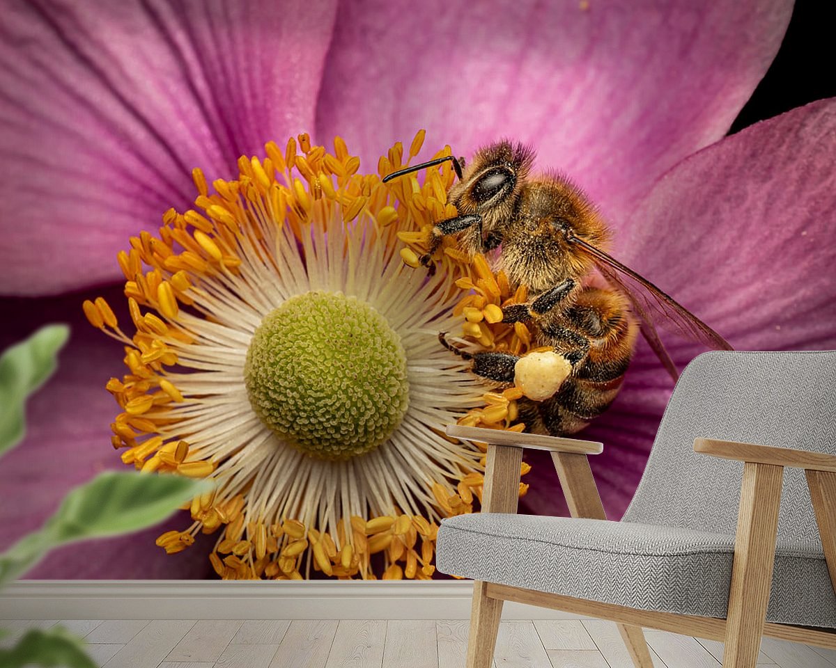 Raumvorschau