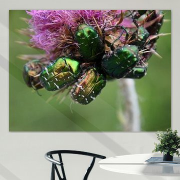 Beetles 1 by Erik Buitenhuis