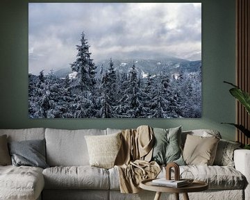 Winter im Riesengebirge bei Benecko von Rico Ködder
