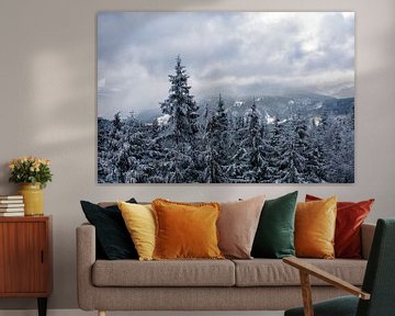 Winter in the Giant Mountains van Rico Ködder
