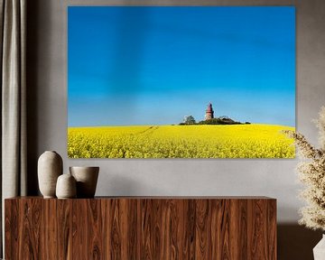 Lighthouse with canola field