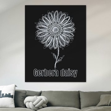 Minimalistisches Poster mit Strichzeichnung einer Garbera-Gänseblümchenblüte – Black Edition von moveit store