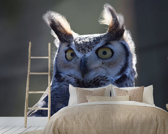 Raumvorschau