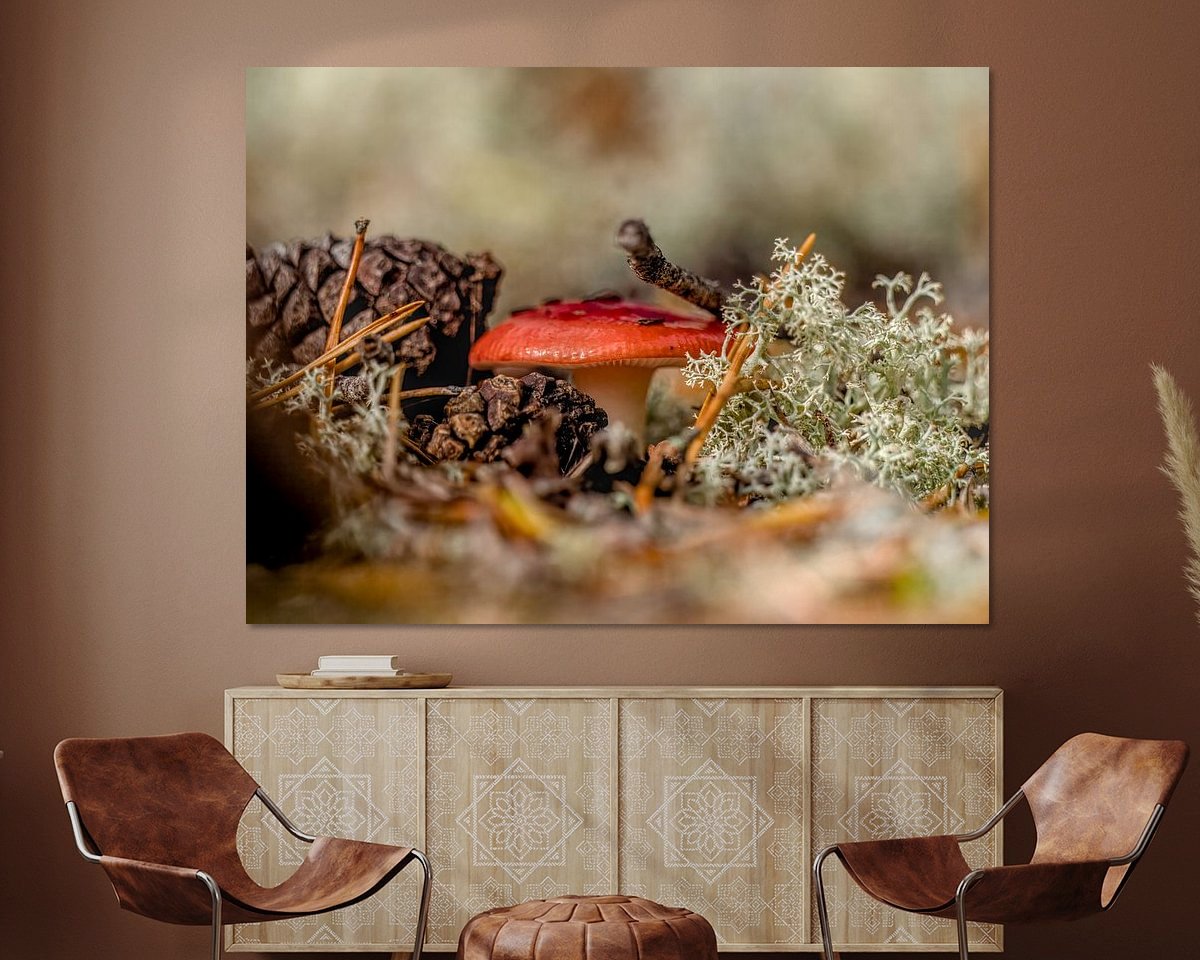 Raumvorschau
