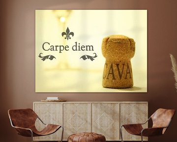 Carpe Diem van Kim van Erp