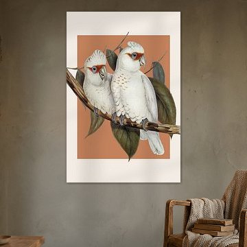Gould's Corellas in Coral van Marja van den Hurk