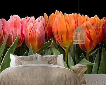 Still life with coloured tulips by eric van der eijk