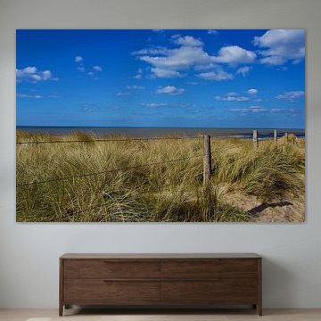 The dunes and the sea near The Hague and Scheveningen