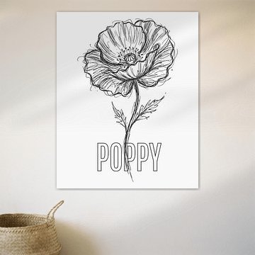 Affiche minimaliste représentant un dessin au trait de fleur de pavot - édition blanche sur moveit store