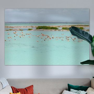 Des flamants roses au-dessus des eaux turquoise de Bonaire sur Thomas Röell