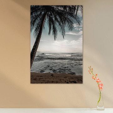 Palm tree on a tropical beach with a view of the sea