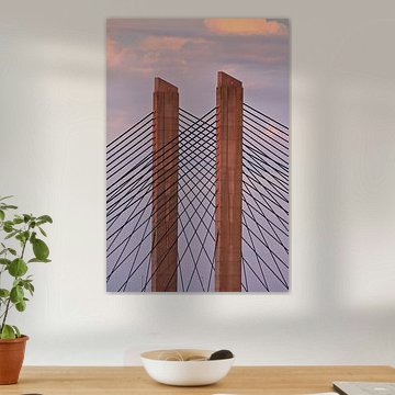 Linien im Abendlicht
