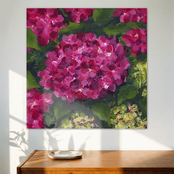 Leuchtend pinkfarbene Hortensien in voller Blüte