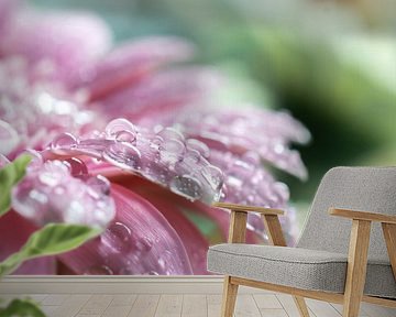 Water drops by Tashina van Zwam