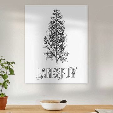 Minimalistisches Rispen-Rittersporn-Poster im Strichzeichnungsstil – weiße Ausgabe
