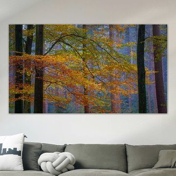 Herbst von Bram de Jong