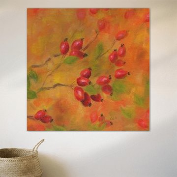 Red rose hips on branches