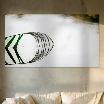 Die Stille, reflektiert von Filip D´hooghe