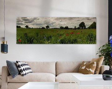 Panorama sur les fleurs des champs sur Maurice Hertog