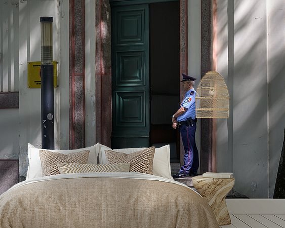 Aperçu de la chambre