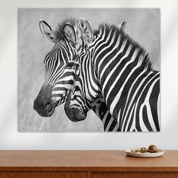 des zèbres en noir et blanc dans la réserve nationale de faune sauvage du Masai Mara, au Kenya