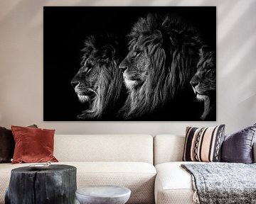 De Leeuwenkoning (zwart/wit) van Ron van Zoomeren