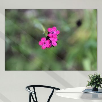 Floating flowers