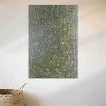 Nahaufnahme der Rinde eines Baumes