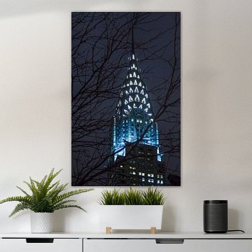 Shining through the night