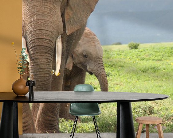 Raumvorschau