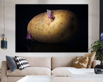 The Potato by Jan Brons