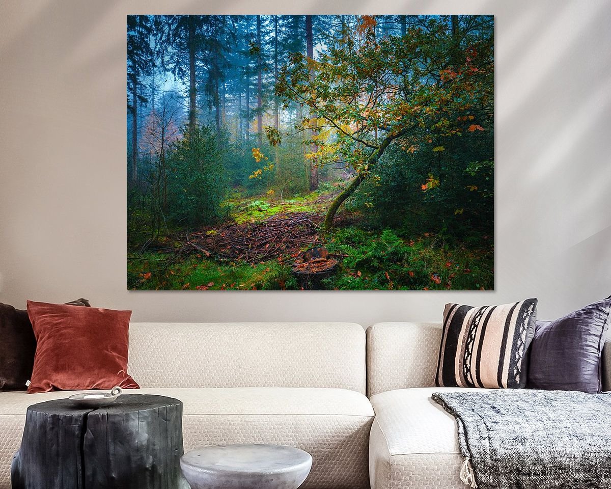 Voorbeeld van het werk in een kamer