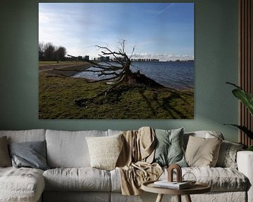 Broken Tree , Noorderplassen von Nicky`s Prints