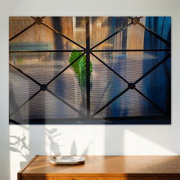 Leaf Rom von Erwin van Damme