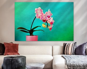 A Study in Color A Pink Orchid in a Purple Vase by Jan Brons