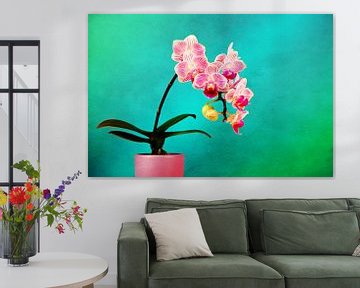 Roze Orchidee van Jan Brons