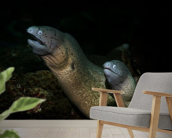 Raumvorschau