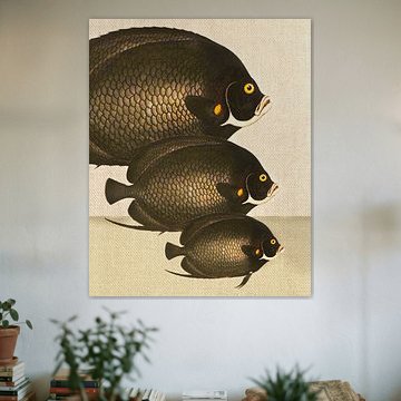 Klassische Fischmotive 11 von Fernando Vieira