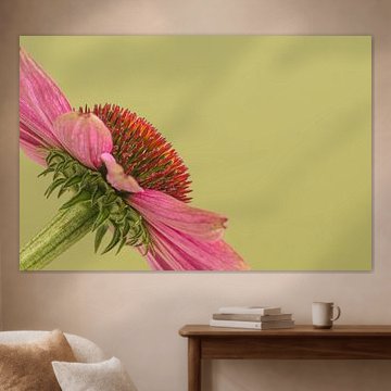 Grün mit einem rosa Blümchen! von Marjolijn van den Berg